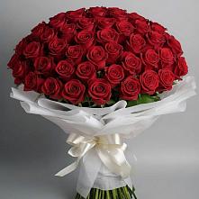 Букет 101 Красная роза Блэк Мэджик в Равнинном