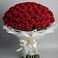 Букет 101 Красная роза Блэк Мэджик в Равнинном