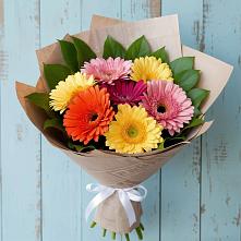 Букет цветов из:  Герберы #REPLACE_PRED# Равнинном