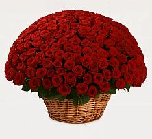 Премиум букет из: Розы в Равнинном